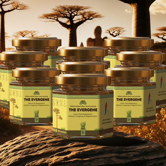 The Evergene™ – 12-Month Regeneration Ritual Kit | Shipped Monthly